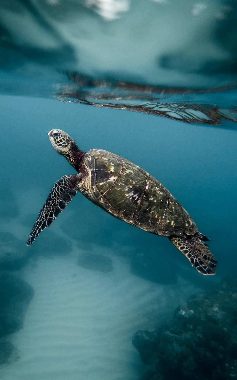 Le marketing B2B en 2026 : ce qui change réellement et ce qui ne change pas